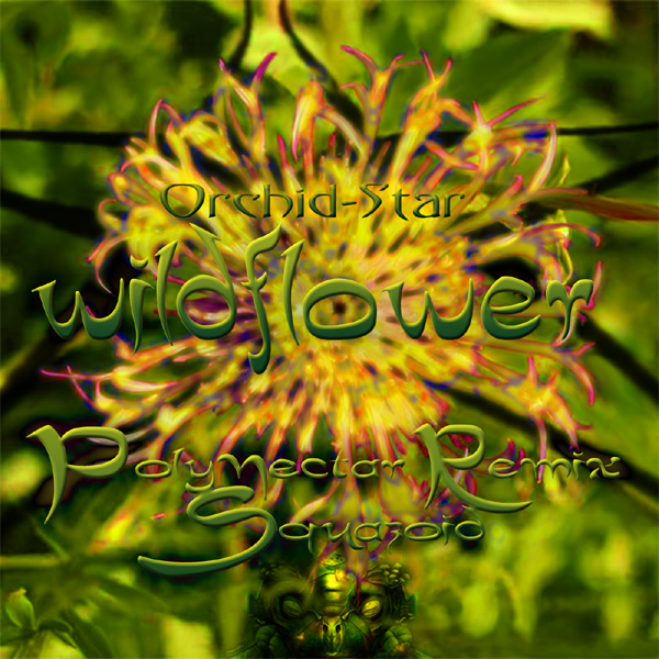 Orchid-Star_-_Wildflower_-_Polynectar_Remix_(Squazoid)_600.jpg